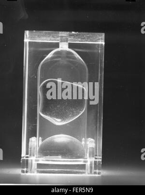 Une image de la collection Atlas Negative, mettant en valeur des scènes historiques capturées par des techniques photographiques de l'époque. La collection fournit des informations précieuses sur les événements passés et les contextes sociétaux. Banque D'Images