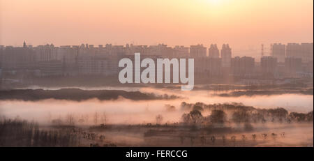 Morning Mist couvert des arbres au lever du soleil à Shanghai, Chine. Banque D'Images