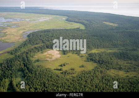 Vue aérienne de la fen riche ouvert dans le lac Engure Nature park Banque D'Images