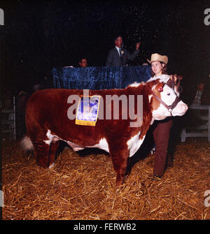 Livestock Show Austin, de l'élevage de bovins - Gagnants Banque D'Images