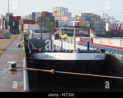 Lurona (navire, 1995), l'ENI 02207080, Port de Rotterdam pic2 Banque D'Images