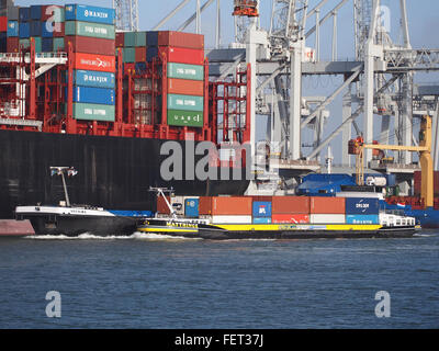 Matthinge (navire, 2011) ENI 02333789 & Vectura (navire, 2009) ENI 02331454 Port de Rotterdam pic2 Banque D'Images