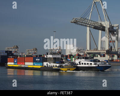 Matthinge (navire, 2011) ENI 02333789 & Vectura (navire, 2009) ENI 02331454 Port de Rotterdam pic3 Banque D'Images