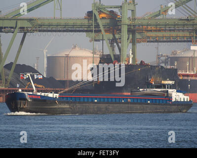 Daybreak (navire, 1976) ENI 02315766 Port de Rotterdam pic2 Banque D'Images