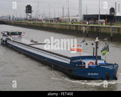 Afalina (navire, 1957) ENI 06001712 Port d'Anvers pic5 Banque D'Images