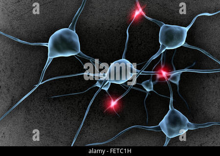 Les neurones (braincells) - 3D illustration Banque D'Images