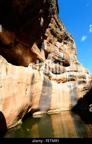 Cobbold, Gorge de la rivière Robertson, Howlong, Golfe Savannah, Queensland, Australie Banque D'Images