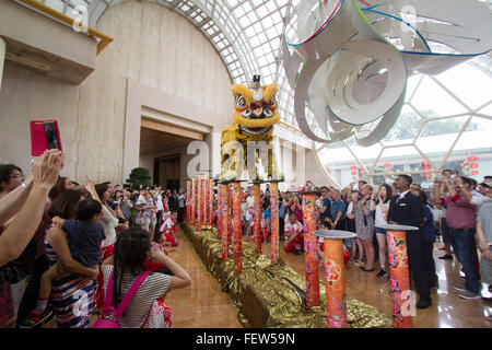 Singapour. 9e février 2016. Les spectacles de danse du lion dans le hall de l'Hôtel Ritz Carlton Hotel Singapore devant des invités à donner des bénédictions et la prospérité dans le cadre de l'Année lunaire chinoise Crédit : célébrations amer ghazzal/Alamy Live News Banque D'Images