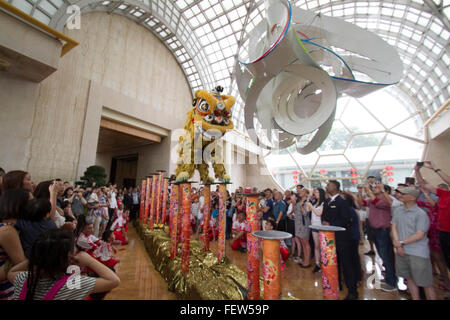 Singapour. 9e février 2016. Les spectacles de danse du lion dans le hall de l'Hôtel Ritz Carlton Hotel Singapore devant des invités à donner des bénédictions et la prospérité dans le cadre de l'Année lunaire chinoise Crédit : célébrations amer ghazzal/Alamy Live News Banque D'Images