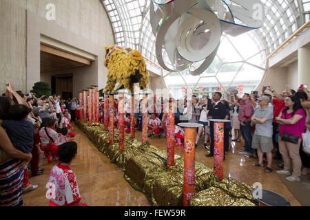 Singapour. 9e février 2016. Les spectacles de danse du lion dans le hall de l'Hôtel Ritz Carlton Hotel Singapore devant des invités à donner des bénédictions et la prospérité dans le cadre de l'Année lunaire chinoise Crédit : célébrations amer ghazzal/Alamy Live News Banque D'Images