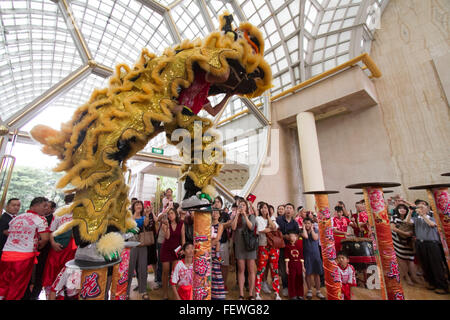 Singapour. 9e février 2016. Les spectacles de danse du lion dans le hall de l'Hôtel Ritz Carlton Hotel Singapore devant des invités à donner des bénédictions et la prospérité dans le cadre de l'Année lunaire chinoise Crédit : célébrations amer ghazzal/Alamy Live News Banque D'Images