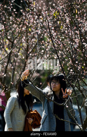 Shenzhen, la province chinoise du Guangdong. Feb 9, 2016. Un visiteur prend une prune jardin selfies à Shenzhen, dans la province de Guangdong, Chine du sud, le 9 février 2016. © AAM Siqian/Xinhua/Alamy Live News Banque D'Images