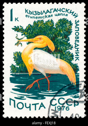 Russie - circa 1976 : timbre imprimé en Russie montre oiseau Héron garde-boeuf Banque D'Images