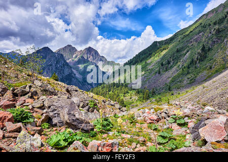 logo de montagne de photos primordiales