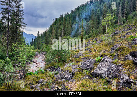 La fumée du feu sur la montagne taïga . Ciel couvert . Conifères sombre taïga, dans un ruisseau de montagne . La Sibérie orientale. La Russie Banque D'Images