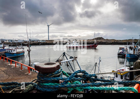 Burtonport, comté de Donegal, Irlande. Le 9 février 2016. Une nouvelle prévision de la Commission européenne prévoit que la République d'Irlande continuera d'avoir la plus forte croissance économique dans la zone euro en 2016. La Commission a déclaré la croissance du PIB en 2015 a été de 6,9  %, au large de l'arrière de l'amélioration des finances publiques et une croissance soutenue de l'emploi. L'image montre un ferry pour le port de l'Île Arranmore. Crédit : Richard Wayman/Alamy Live News Banque D'Images