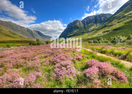 Septembre voir à Glencoe, Argyll Banque D'Images