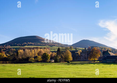 Eildon Hills au-dessus de Melrose Abbey en arbres en automne couleur. Melrose, Roxburgh, Scottish Borders, Scotland, UK, Grande-Bretagne Banque D'Images