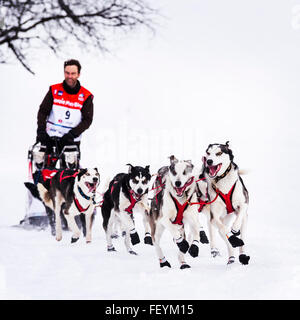 SARDIERES VANOISE, FRANCE - 20 janvier 2016 - LA GRANDE ODYSSEE le plus dur de la course de chiens en savoie Mont-Blanc, Christian Moser, Banque D'Images