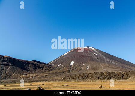 Karen E. Segrave la vue à l'arrière pour monter sur le Tongariro Alpine Crossing en Nouvelle-Zélande. Banque D'Images