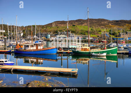 Port De Tarbert, le Loch Fyne, Argyll Banque D'Images