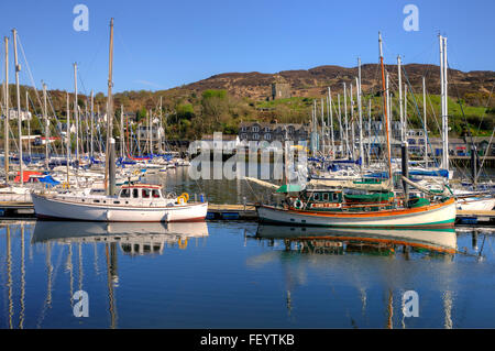 Port De Tarbert, le Loch Fyne, Argyll Banque D'Images