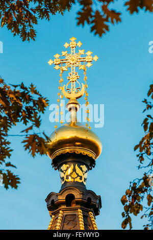 Close up Chapelle-tombeau de Paskevich (années 1870-1889) à Gomel, Bélarus Banque D'Images