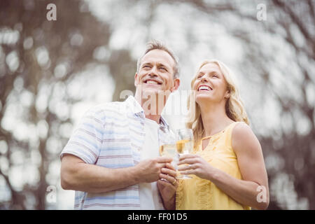 Couple toasting with champagne Banque D'Images