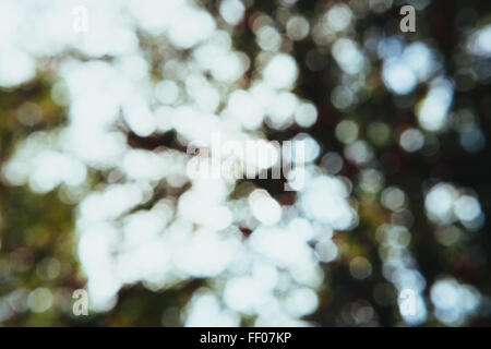 Un fond texturé avec des cercles bokeh doux et flous. L'effet flou crée un look abstrait rêveur, avec des points lumineux et des transitions douces entre les couleurs. Banque D'Images