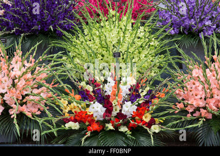 Chelsea Flower show 2015 LONDON UK Banque D'Images