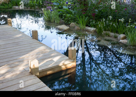 Jardin moderne contemporain avec un petit étang de la piscine naturelle de l'eau dispose de terrasse en bois ponton jetée Royaume-Uni Banque D'Images