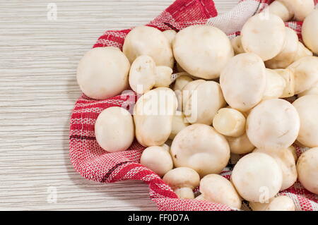 Bouquet de champignons sur une plaque rouge libre Banque D'Images