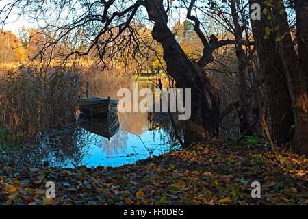 Bateau à rames sur le lac arbre repos sous soleil du soir d'automne, Banque D'Images