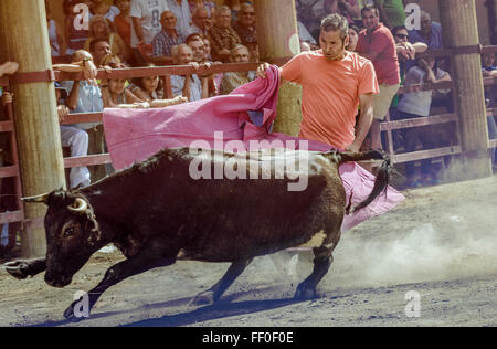 Corrida dans la place de la ville de Igea, La Rioja, Espagne Banque D'Images