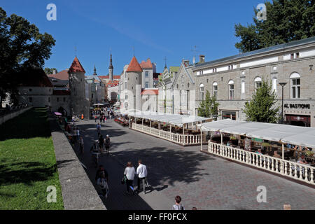 Vue vers la Porte Viru à Tallinn, Estonie. Banque D'Images