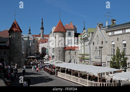 Vue vers la Porte Viru à Tallinn, Estonie. Banque D'Images