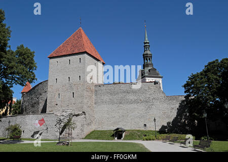 Tour de la jeune fille (Neitsitorn) avec la flèche de la cathédrale St Mary derrière à Tallinn, Estonie. Banque D'Images