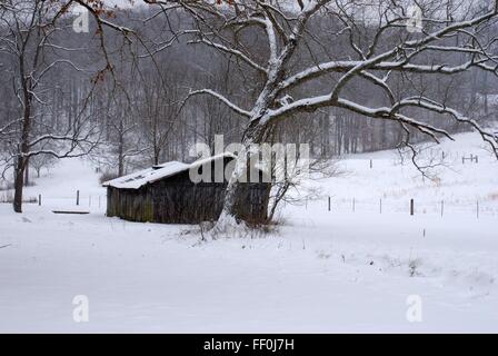 Ancienne grange de tomber au milieu d'un champ recouvert de neige. Banque D'Images