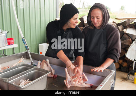 Jen Schwab, gauche, indique à un visiteur dans les subtilités de la part d'une transformation du poulet dans une petite ferme familiale Banque D'Images