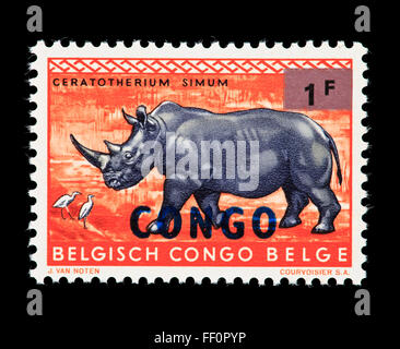 Timbre-poste du Congo représentant un rhinocéros blanc (Ceratotherium simum), pour l'indépendance de la Belgique en surimpression Banque D'Images