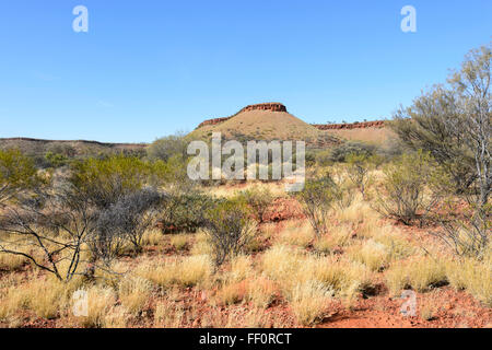 Bush près d'Alice Springs, Territoire du Nord, Australie Banque D'Images