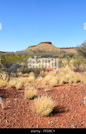 Bush près d'Alice Springs, Territoire du Nord, Australie Banque D'Images