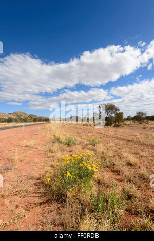 Bush près d'Alice Springs, Territoire du Nord, Australie Banque D'Images