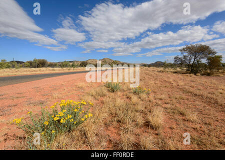 Bush près d'Alice Springs, Territoire du Nord, Australie Banque D'Images