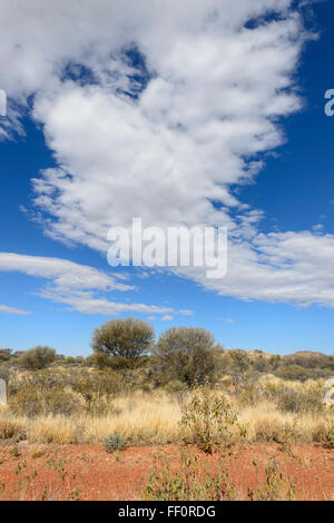 Bush près d'Alice Springs, Territoire du Nord, Australie Banque D'Images