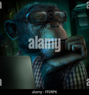 Singe dans les lunettes en main tablet Banque D'Images