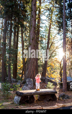 Caucasian baby girl debout sur une table de pique-nique en forêt Banque D'Images