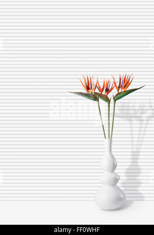 En fleurs fleurs dans vase moderne Banque D'Images