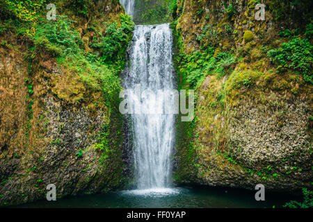 Chutes de Multnomah sur paroi rocheuse, Portland, Oregon, United States Banque D'Images