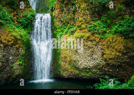 Chutes de Multnomah sur paroi rocheuse, Portland, Oregon, United States Banque D'Images